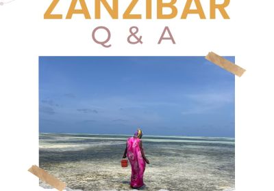 Zanzibar Webinar 